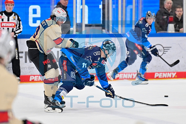 Eishockey, Herren, DEL, Saison 2024-2025, Playoffs Viertelfinale, Spiel 1, ERC Ingolstadt - Nürnberg Ice Tigers, 16.03.2025