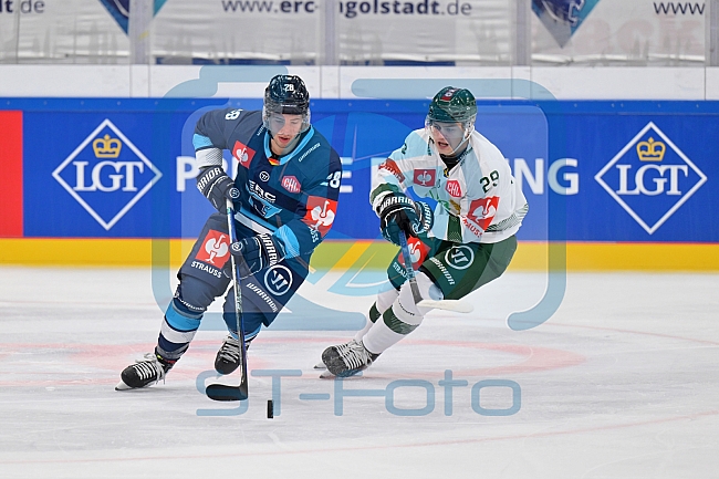 Eishockey, Mens, CHL, Season 2023-2024, ERC Ingolstadt - Färjestad Karlstad, 02.09.2023