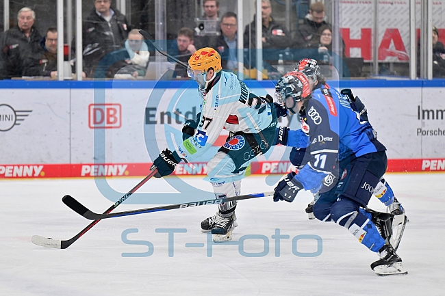 Eishockey, Herren, DEL, Saison 2023-2024, Playoffs Viertelfinale - Spiel 2, ERC Ingolstadt - Fischtown Pinguins , 20.03.2024