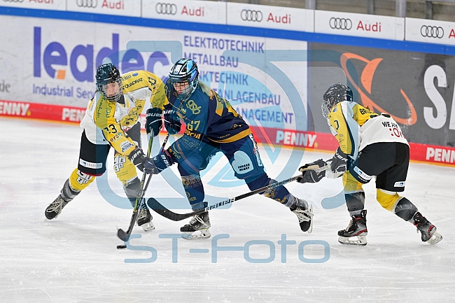 Eishockey, Frauen, DFEL, Saison 2022-2023, ERC Ingolstadt - Mad Dogs Mannheim, 20.11.2022