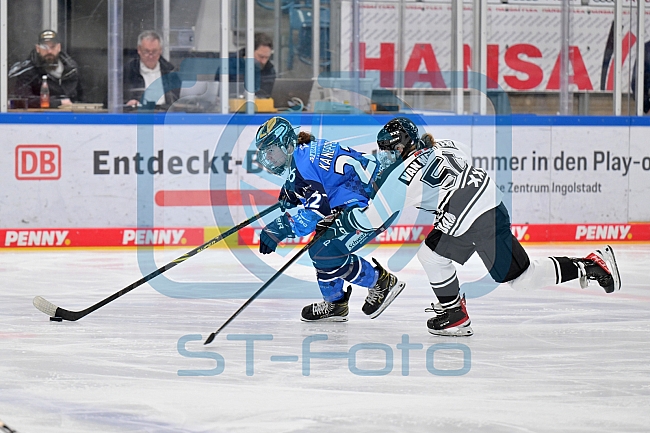 Eishockey, Frauen, DFEL, Saison 2023-2024, ERC Ingolstadt - Amsterdam Tigers, 06.01.2024