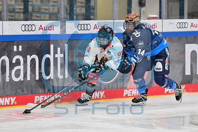Eishockey, Frauen, DFEL, Saison 2024-2025, ERC Ingolstadt - EC Bergkamener Bären, 12.10.2024