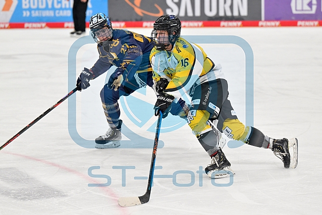 Eishockey, Frauen, DFEL, Saison 2022-2023, ERC Ingolstadt - Mad Dogs Mannheim, 19.11.2022