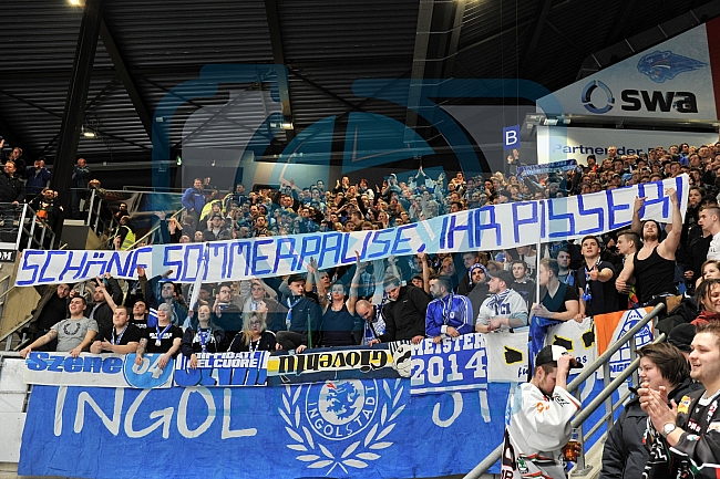 Augsburger Panther vs ERC ingolstadt, Eishockey, DEL, Deutsche Eishockey Liga, 05.03.2015
