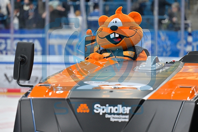Eishockey, Herren, DEL, Saison 2025-2026, Spiel 21, ERC Ingolstadt - Pinguins Bremerhaven, 23.11.2025