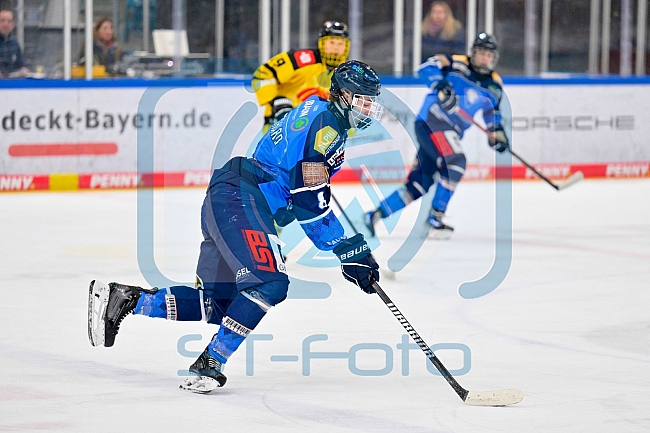 Eishockey, U20, DNL, Saison 2024-2025, ERC Ingolstadt - Krefelder EV 81, 01.03.2025