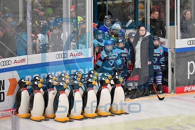 Eishockey, Herren, DEL, Saison 2022-2023, ERC Ingolstadt - Kids On Ice Day, 14.01.2023