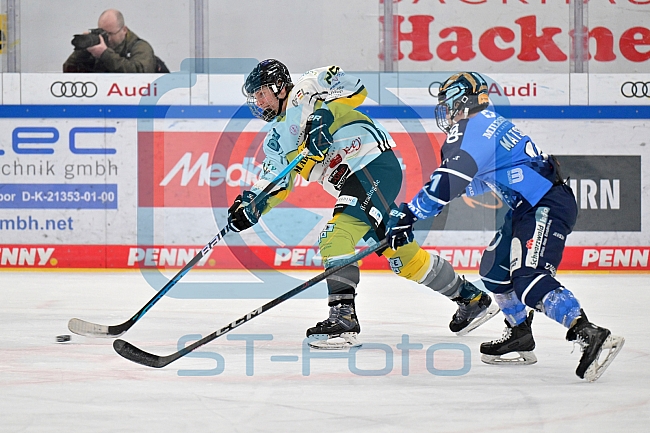 Eishockey, Frauen, DFEL, Saison 2023-2024, ERC Ingolstadt - Mad Dogs Mannheim, 18.02.2024