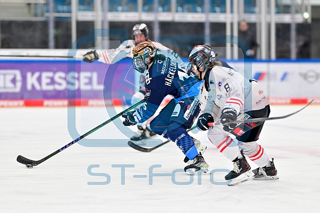Eishockey, Frauen, DFEL, Saison 2024-2025, ERC Ingolstadt - ECDC Memmingen Indians, 16.11.2024