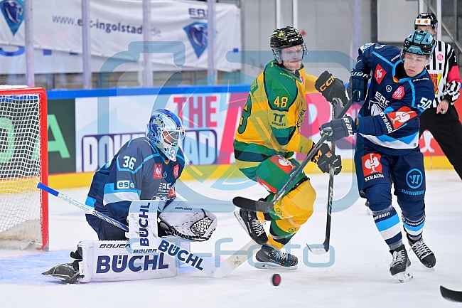 Hockey, Mens, CHL, Season 2025-2026, Regular Season, Game Day 1, ERC Ingolstadt - Ilves Tampere, 28.08.2025