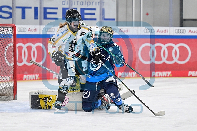Eishockey, Frauen, DFEL, Saison 2024-2025, ERC Ingolstadt - Mad Dogs Mannheim, 23.11.2024