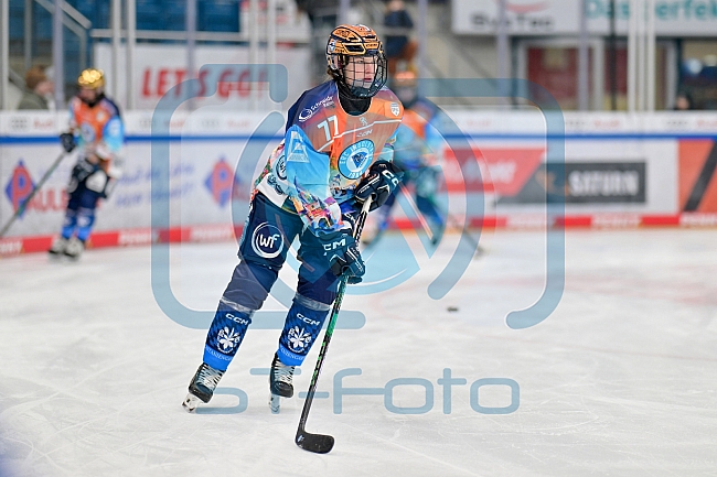 Eishockey, Frauen, DFEL, Saison 2024-2025, ERC Ingolstadt - Mad Dogs Mannheim, 23.11.2024
