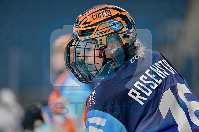 Eishockey, Frauen, DFEL, Saison 2024-2025, ERC Ingolstadt - Eisbären Berlin, 15.02.2025