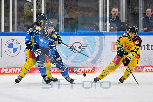 Eishockey, U20, DNL, Saison 2024-2025, ERC Ingolstadt - Krefelder EV 81, 01.03.2025