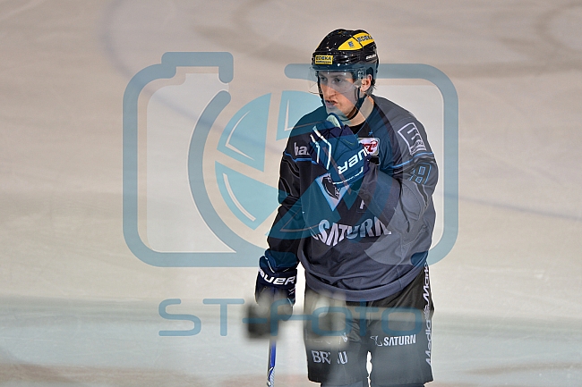 ERC Ingolstadt vs Schwenninger Wild Wings, Eishockey, DEL, Deutsche Eishockey Liga, 22.01.2016