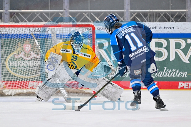 Eishockey, Frauen, DFEL, Saison 2025-2026, Testspiel, ERC Ingolstadt - HC Davos, 14.02.2026