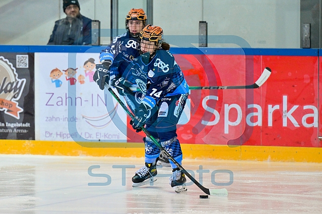 Eishockey, Frauen, DFEL, Saison 2024-2025, ERC Ingolstadt - HK Budapest Roster, 12.01.2025