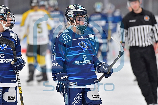 Eishockey, Frauen, DFEL, Saison 2021-2022, ERC Ingolstadt - Mad Dogs Mannheim, 23.10.2021
