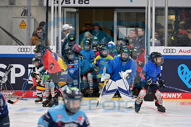 Eishockey, Herren, DEL, Saison 2023-2024, ERC Ingolstadt - Kids on Ice Day, 18.11.2023
