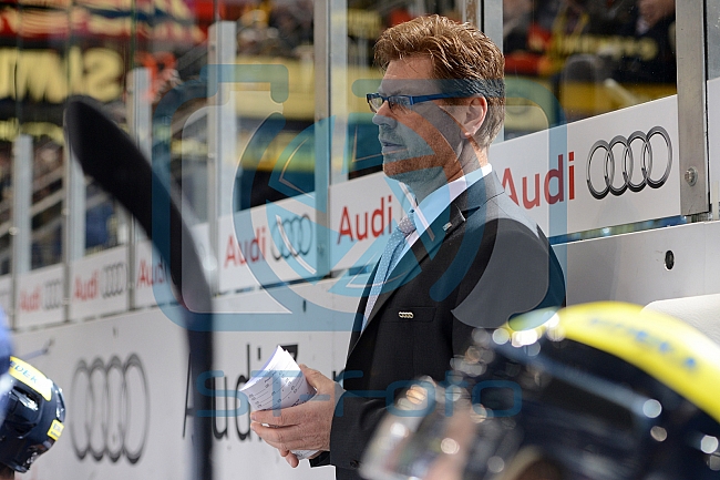 ERC Ingolstadt vs Grizzlys Wolfsburg, Eishockey, DEL, Deutsche Eishockey Liga, 18.10.2015