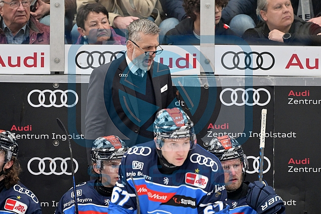 Eishockey, Herren, DEL, Saison 2023-2024, PrePlayoffs - Spiel 1, ERC Ingolstadt - Kölner Haie, 10.03.2024