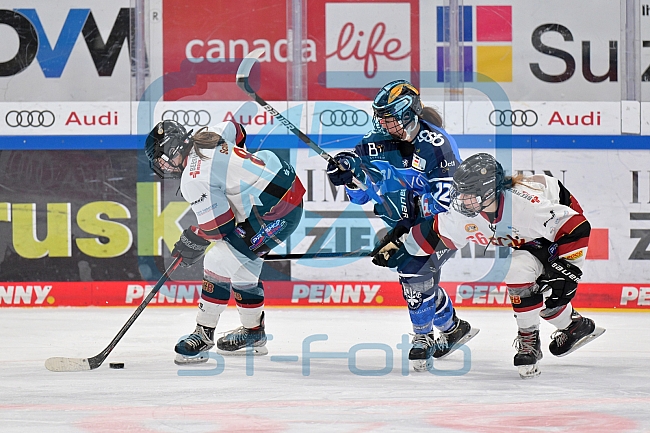 Eishockey, Frauen, DFEL, Saison 2023-2024, ERC Ingolstadt - EC Bergkamener Bären, 28.10.2023