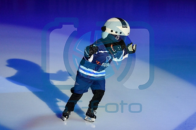 ERC Ingolstadt vs Alder Mannheim am 15.02.2019, Spieltag 32