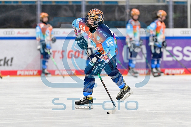 Eishockey, Frauen, DFEL, Saison 2024-2025, ERC Ingolstadt - ECDC Memmingen Indians, 16.11.2024