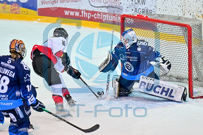 Eishockey, Frauen, DFEL, Saison 2024-2025, ERC Ingolstadt - HK Budapest Roster, 12.01.2025