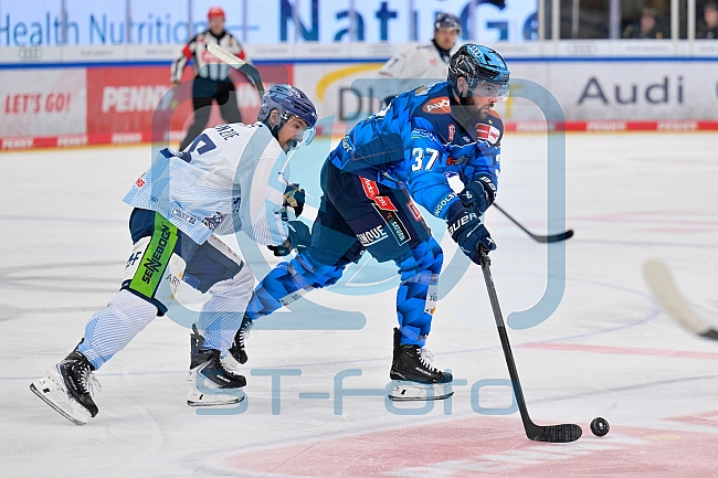 Eishockey, Herren, DEL, Saison 2025-2026, Spiel 7, ERC Ingolstadt - Straubing Tigers, 03.10.2025