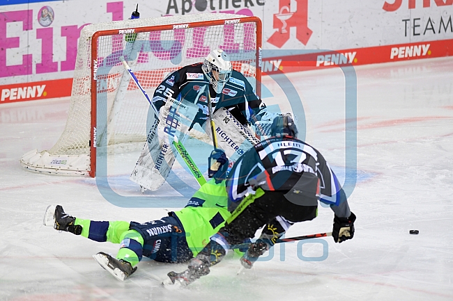 Eishockey, Herren, DEL, Saison 2020-2021, Straubing Tigers - ERC Ingolstadt, 31.01.2021