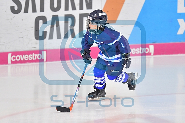 ERC Ingolstadt U20 vs Allstars Panther & Friends, Eishockey, U20, Sonderspieltag, 08.12.2018