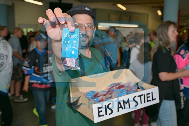 Eishockey, Herren, DEL, Saison 2024-2025, Vorbereitung, ERC Ingolstadt - Dresdner Eislöwen, 18.08.2024