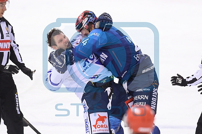 Eishockey, Herren, DEL, Saison 2020-2021, ERC Ingolstadt - Schwenninger Wild Wings, 19.01.2021