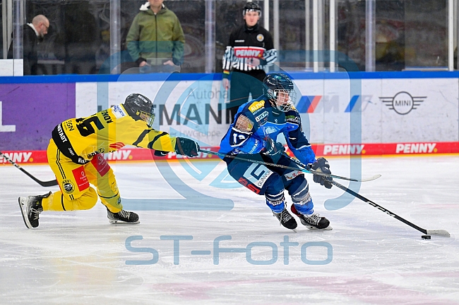 Eishockey, U20, DNL, Saison 2024-2025, ERC Ingolstadt - Krefelder EV 81, 01.03.2025