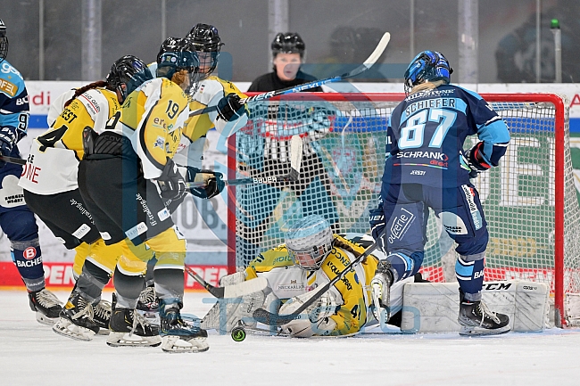 Eishockey, Frauen, DFEL, Halbfinale, Saison 2022-2023, ERC Ingolstadt - Mad Dogs Mannheim, 25.02.2023