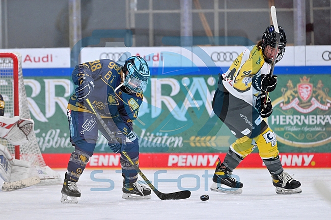 Eishockey, Frauen, DFEL, Saison 2022-2023, ERC Ingolstadt - Mad Dogs Mannheim, 19.11.2022