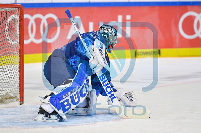 ERC Ingolstadt vs Krefeld Pinguine, DEL, Deutsche Eishockey Liga, Spieltag 39, 19.01.2020