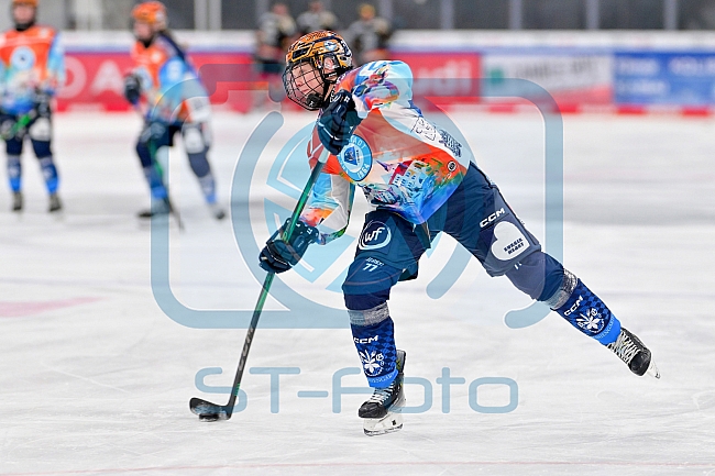 Eishockey, Frauen, DFEL, Saison 2024-2025, ERC Ingolstadt - EC Bergkamener Bären, 05.01.2025