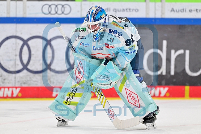 Eishockey, Herren, DEL, Saison 2025-2026, Spiel 44, ERC Ingolstadt - Dresdner Eislöwen, 27.01.2026