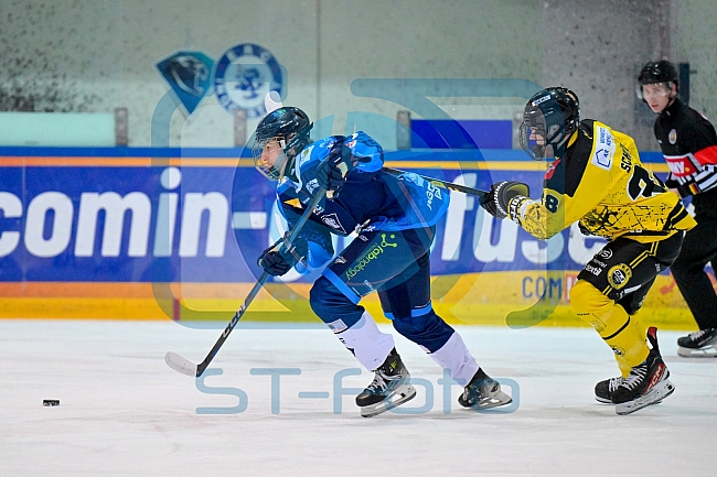 Eishockey, Herren, U20 DNL, Saison 2025-2026, Halbfinale - Spiel 5, ERC Ingolstadt - Krefelder EV 81, 24.03.2026