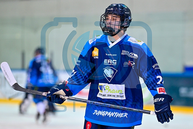 Eishockey, Herren, U20 DNL, Saison 2025-2026, Viertelfinale - Spiel 2, ERC Ingolstadt - ESC Dresden, 08.03.2026