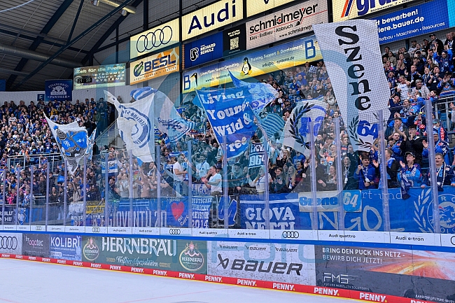 Eishockey, Herren, DEL, Saison 2025-2026, Spiel 16, ERC Ingolstadt - Kölner Haie, 31.10.2025