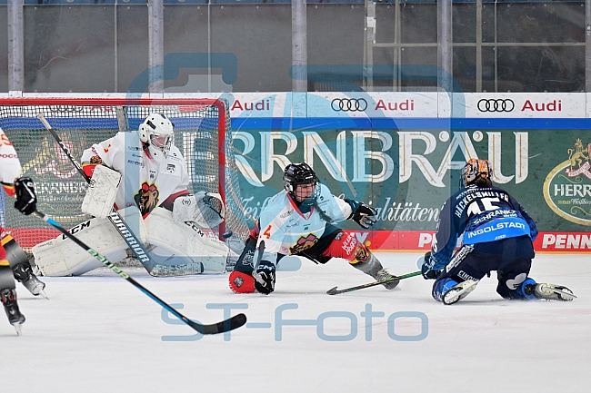 Eishockey, Frauen, DFEL, Saison 2024-2025, ERC Ingolstadt - EC Bergkamener Bären, 12.10.2024