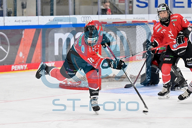 Eishockey, Frauen, EWHL Euro Cup, Saison 2025-2026, Finale, HK Budapest - ECDC Memmingen Indians, 19.10.2025