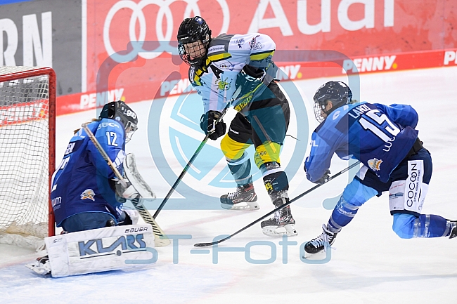 Eishockey, Frauen, DFEL, Saison 2020-2021, ERC Ingolstadt - Mad Dogs Mannheim, 30.01.2021