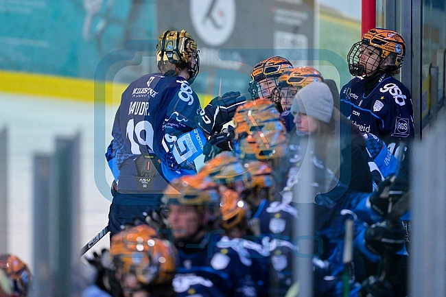Eishockey, Frauen, DFEL, Saison 2024-2025, ERC Ingolstadt - ECDC Memmingen Indians, 19.01.2025