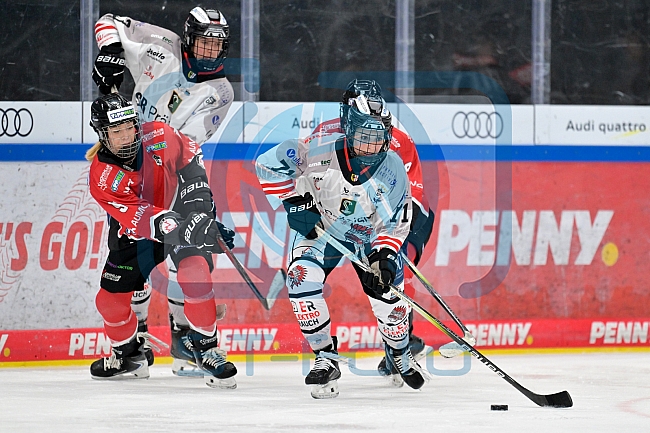 Eishockey, Frauen, EWHL Euro Cup, Saison 2025-2026, Finale, HK Budapest - ECDC Memmingen Indians, 19.10.2025