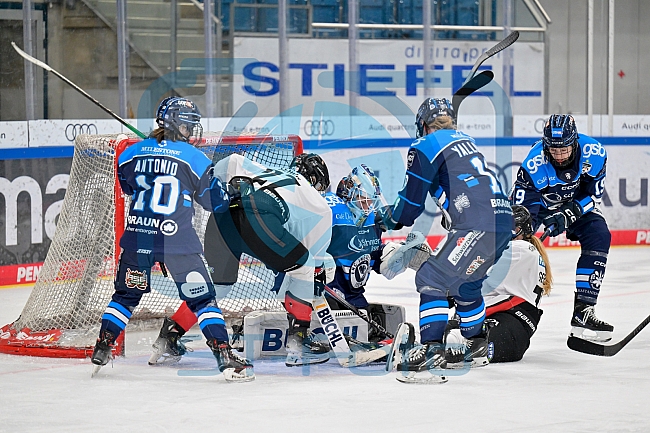 Eishockey, Frauen, DFEL, Saison 2025-2026, ERC Ingolstadt - HK Budapest, 15.11.2025
