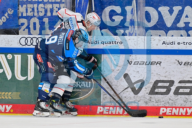 Eishockey, Herren, DEL, Saison 2025-2026, Spiel 47, ERC Ingolstadt - Nürnberg Ice Tigers, 01.03.2026